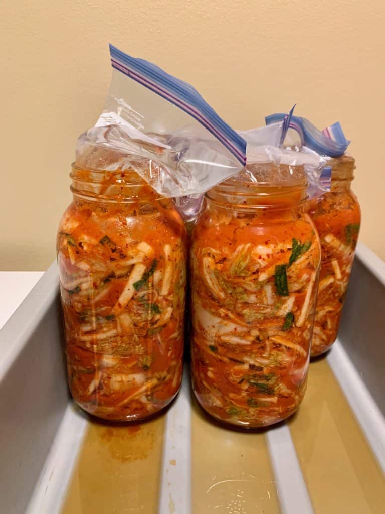 Homemade Korean Kimchi | Total Care Dental | Holistic Dentistry